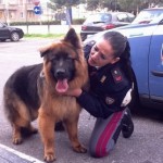 cane abbandonato